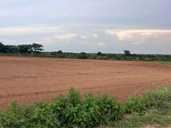 1 Acre Agriculture Land for Sale @ nearby Hyderabad ,Amangal