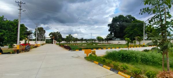 Plots for sale in banargatta, Bangalore