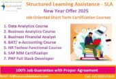 Data Analyst Course in Delhi, 110088, Top Google Rated [100% Job] SLA Consultants India, Free Data Science Training Course, “Republic Day Offer 2025”