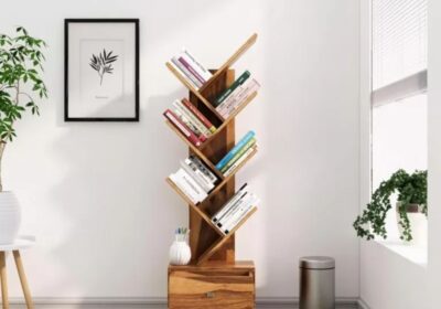 Mini-Bookshelf-for-Your-Home-