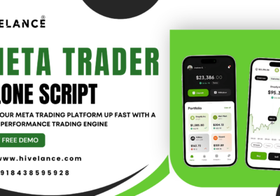 meta-trader-clone-script