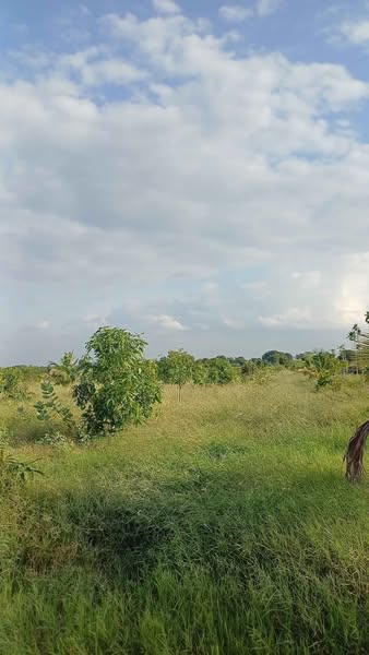 Agriculture land for sale @ Balanagar, Hyderabad – 65 lakhs