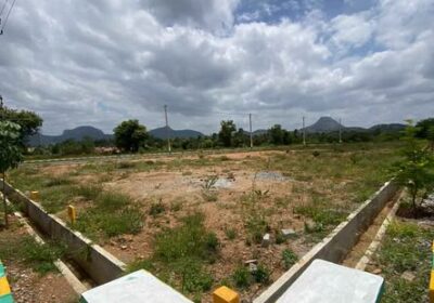 574852422_1296253928938342_690423519729964200_n