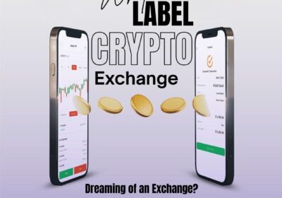 Whitelabel-Software-Ad-90