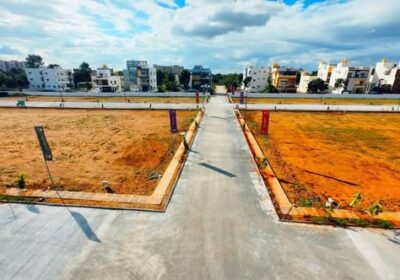 598113789_2651141945253617_4786246055530499111_n