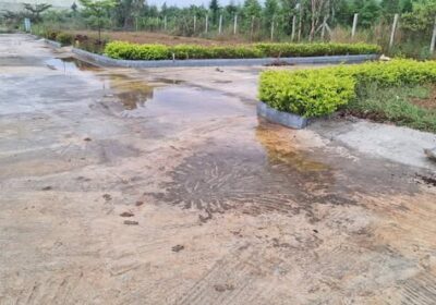 600013981_1563235411593462_4953259869493673160_n