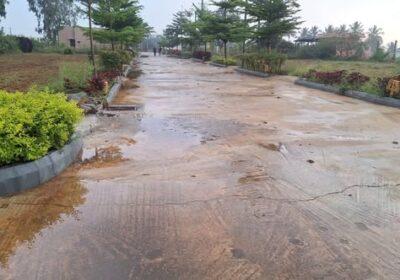 600358141_1563229601594043_7952014313936857824_n