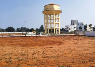 601375125_911040724939905_8723145504301092769_n