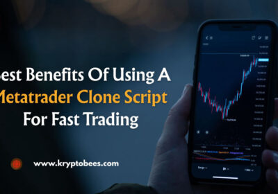 Metatrader-Clone-Scr._imresizer-1