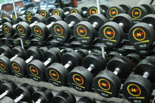Best Gym in Andheri West Offering Expert Training | Why Not Fitness