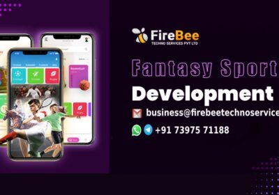 fantasy-sports-development