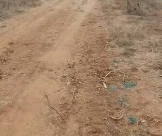 636682714_2094588368050188_647663189524895666_n