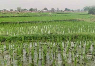 641610699_923839646784924_6974606803748803247_n