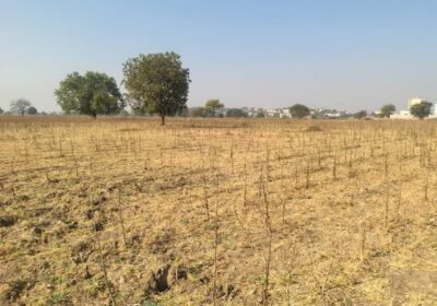 645510418_930004212835134_3802966185906364701_n