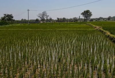 647824521_10164894827739368_1992247621485996021_n