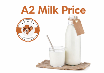 A2MilkPrice
