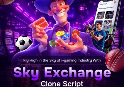 Skyexchanges-Clone-Script