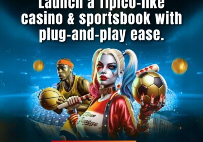 Tipico-clone-script-2