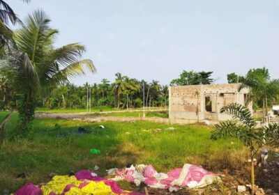 672090597_122155359188731079_5625282954419639751_n