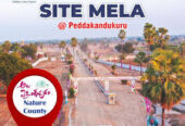 Plots for Sale in Yadagirigutta, Hyderabad