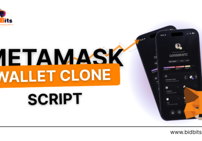 metamask-wallet-clone-script