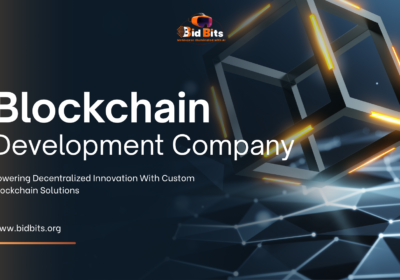 Blockchain-Development-Company-bidbits