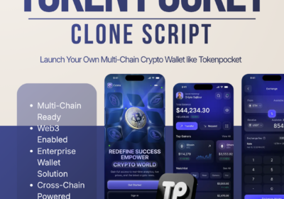 Token-Pocket-Clone-script