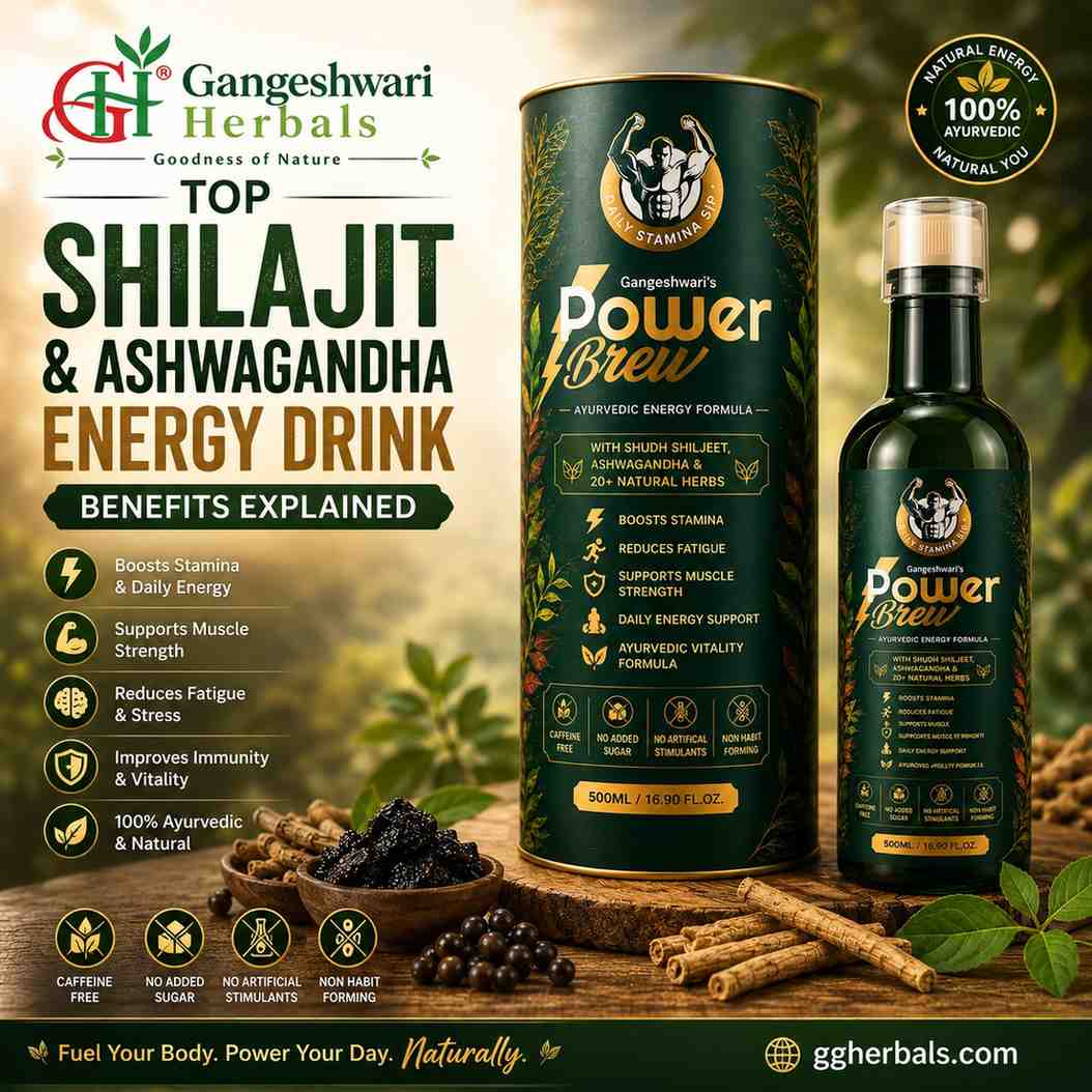 Top Shilajit and Ashwagandha Energy Drink Benefits Explained
