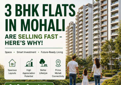 3-BHK-Flat-in-Mohali-Homziio