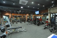 Best-Fitness-Centre-in-Andheri-West-for-Strength-Weight-Loss-Personal-Training-Why-Not-Fitness-1-1