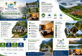 Affordable Best Kodaikanal Tour Packages for Every Traveler – Peter Holidays