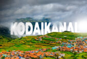 Best Travel Agency in Kodaikanal – Peter Holidays Queen Tours and Travels
