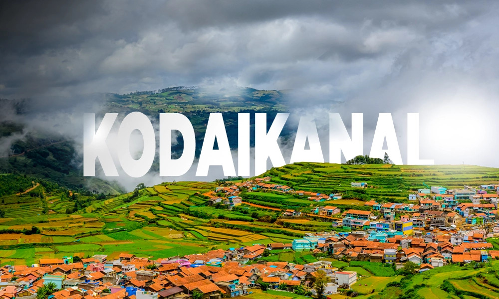 Best Travel Agency in Kodaikanal – Peter Holidays Queen Tours and Travels