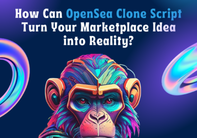 OpenSea-Clone-Script-Bidbits