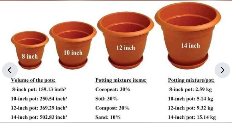 Plastic Pots for plants – Rs.25/-