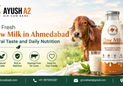 Explore-Fresh-A2-Cow-Milk-in-Ahmedabad-for-Natural-Taste-and-Daily-Nutrition