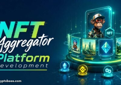 NFT-Aggregator-Platform-Development-Compan-100kb