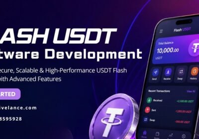 flash-usdt-software-1
