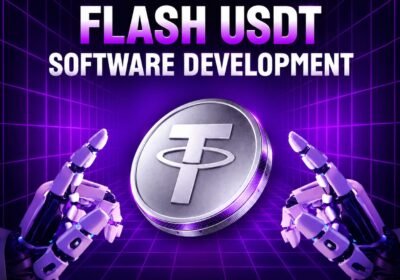 Dappsfirm-Flash-USDT-Software-Development