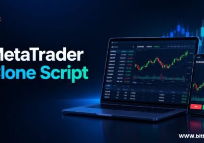Meta-trader-clone-script-bidbits